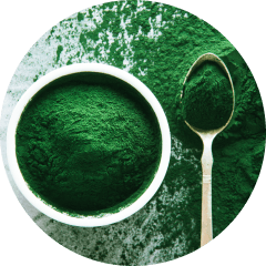 Spirulina